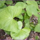 종합운동장역 4번출구 이미지