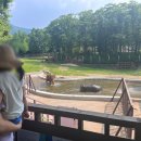 과천 서울대공원 동물원 주차 입장료 식당 시설정보 총정리 아이와 코끼리열차 후기