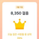 리 토스 이미지