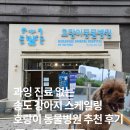행복한동물병원 | 인천 송도 강아지 프리미엄 스케일링 | 전신마취 금식 혈액검사 | 호랑이 동물병원 강력 추천 후기