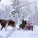 더화룡 이미지