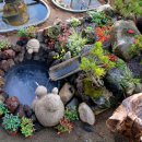 미니정원 이미지