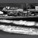 일산해수욕장 이미지