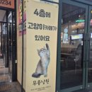 수원-0374 이미지