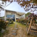 엑스포로539번길 이미지