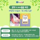 안쌤독서논술
