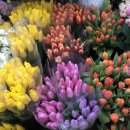 롯데백화점 대구역 뒷편 이미지