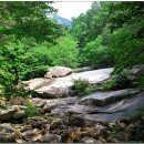 곡성-267 이미지