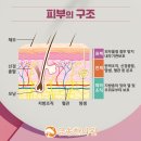 대곡한의원 네이버블로그