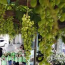 중흥2동 행정복지센터 앞 이미지