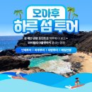 하소디자인 이미지