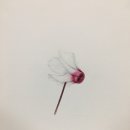 기초 보태니컬아트 이미지