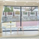 강아지미용실 이미지