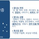 동의보감해독한의원 | 환자분:8~90%호전/엉덩이다한증, 허벅지다한증 치료 한의원,병원/ &#34;버스에 앉아 있으면, 속옷이 젖어요.&#34;