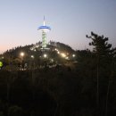 완도해돋이