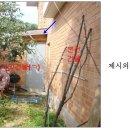 청조원2 Daum카페