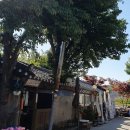 화성젓갈 이미지