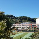 장승포가축병원 이미지