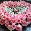 연일초교 이미지