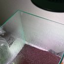 물속풍경수족관 이미지