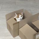 cu원주기업호반점 이미지