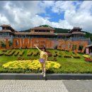 골든종합카 이미지