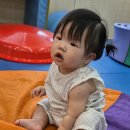 월성짐보리 이미지