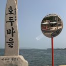 호두121 이미지