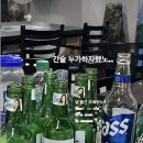 탐노씨 이미지