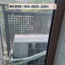 비둘기빌라