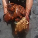 고래공인중개사사무소 이미지