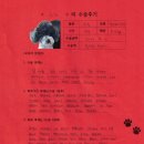 1444 | [#1444] 루키(양측 슬개골탈구 G3, G2)의 수술후기