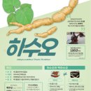 하수오 이미지