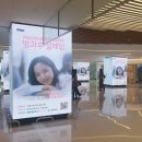 설레임 이미지
