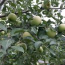 풍성농장 이미지