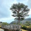 (주)백두여행사