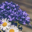 햇빛Hair 이미지