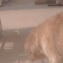 수원-0527 이미지