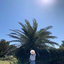 마파도민박