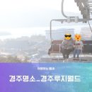 P-6939 | [경주명소/경주갈만한곳]경주루지월드, 예약방법 요금정보 주차정보(내돈내산 솔직후기)