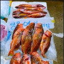 주문진 관광안내소 이미지