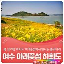 16캠핑버스 꽃섬.하화도&사도.추도,중도 테마여행/1박2일 이미지