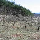 오곡농장 이미지