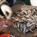 여러가지장터 이미지