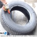 재생타이어 이미지