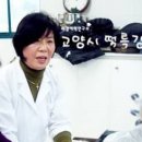 한입한끼 이미지