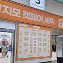 강남덴탈랩 | 세텍7월 가낳지모 금요일오픈런 캣페어고양이박람회 선착순이벤트 후기