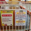 충주라바랜드 이미지