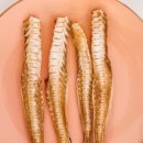 강아지,반하다 이미지