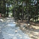 도원정형외과의원 이미지